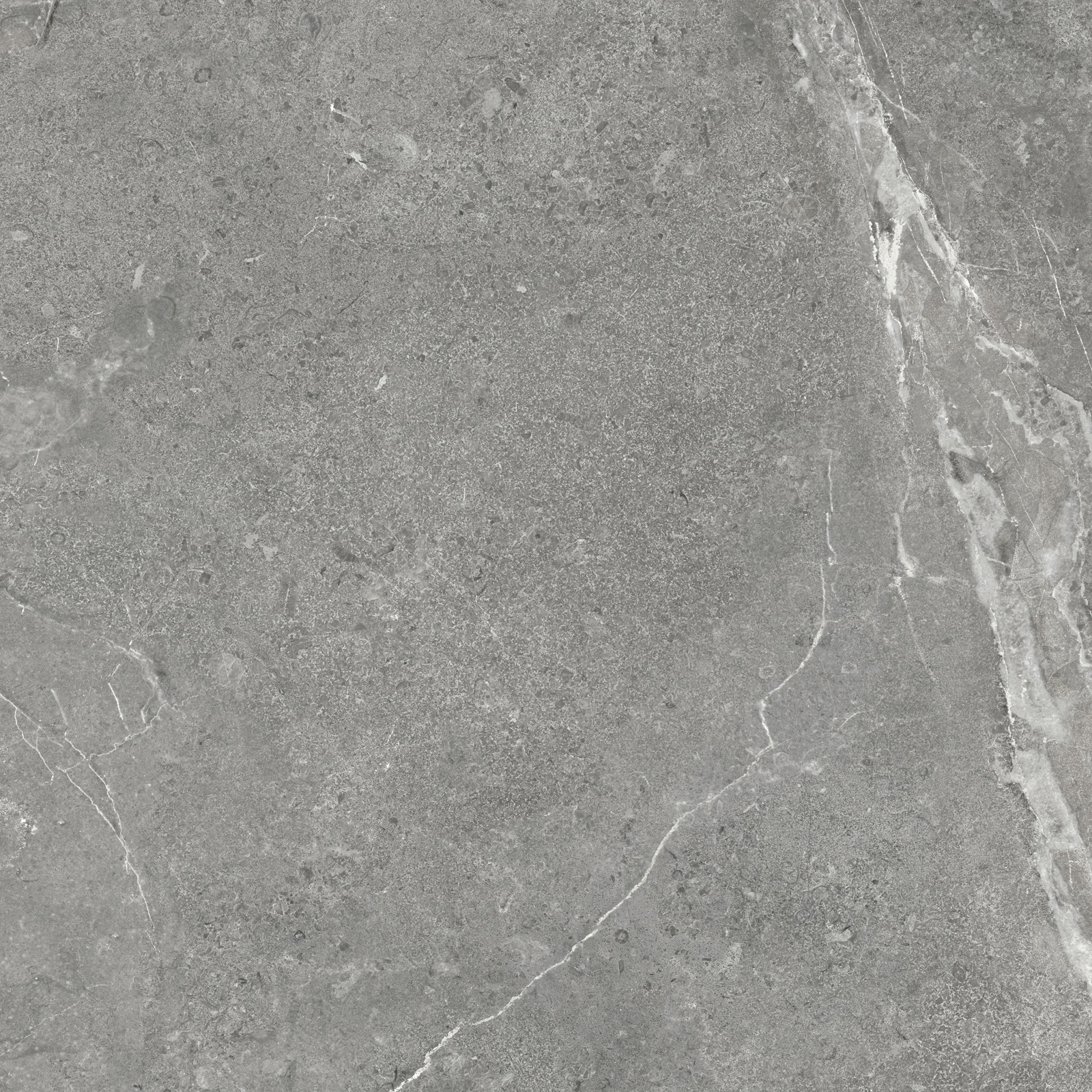 GP6060TIA05M Titanium Gris матовый 600x600x9.5 Artkera Group