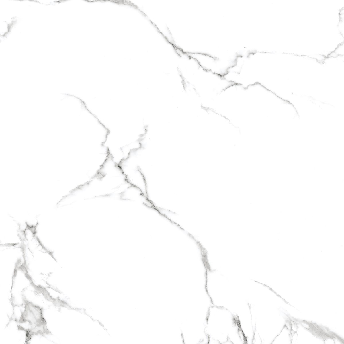 R_PR1001 Calacatta Venatino Polished 60x60 Royce