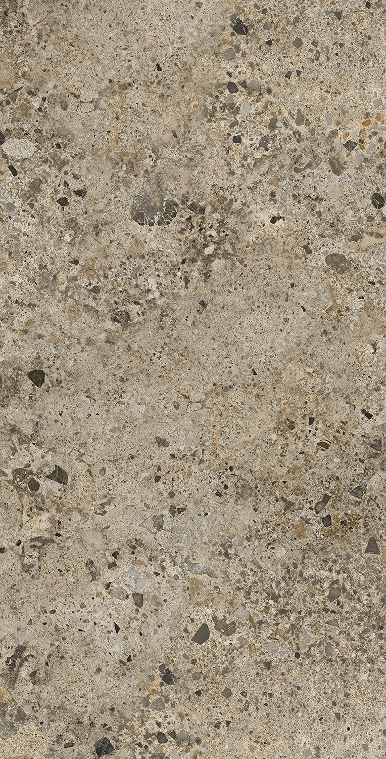 AC126196A Pietra Viva Matt 60x120 Artecera