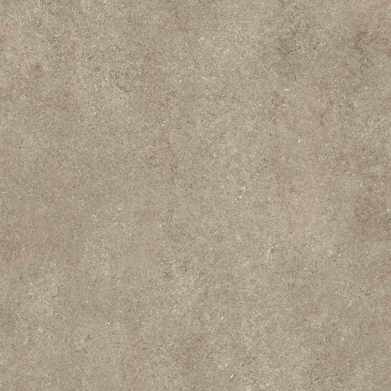 768558 Sensi Taupe Fossil Nat Ret 6mm 120x120 Casa Dolce Casa