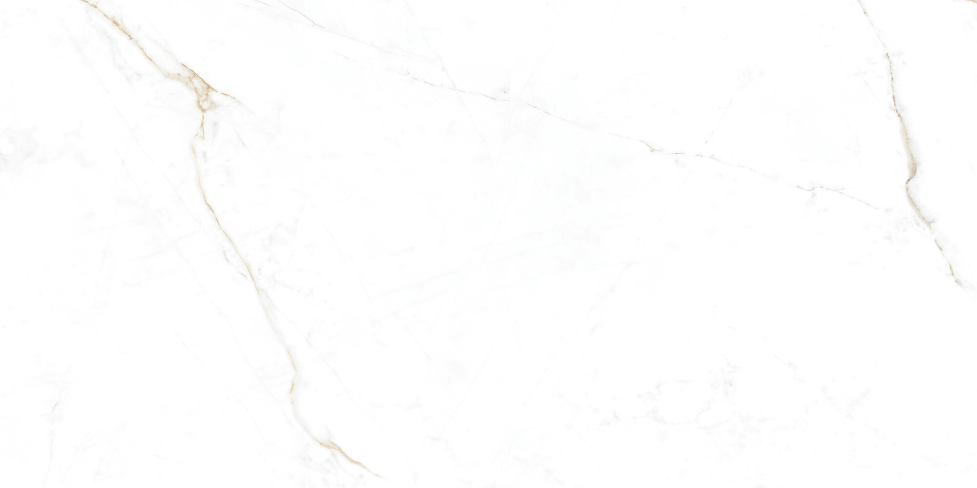 31741 Dual White EP 60x120 Peronda фото 13