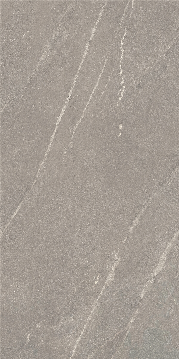 P14507.6 Tiger Matt Grey Rect 60x120 Yurtbay Seramik
