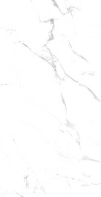 Oriental White 60x120 Realistik