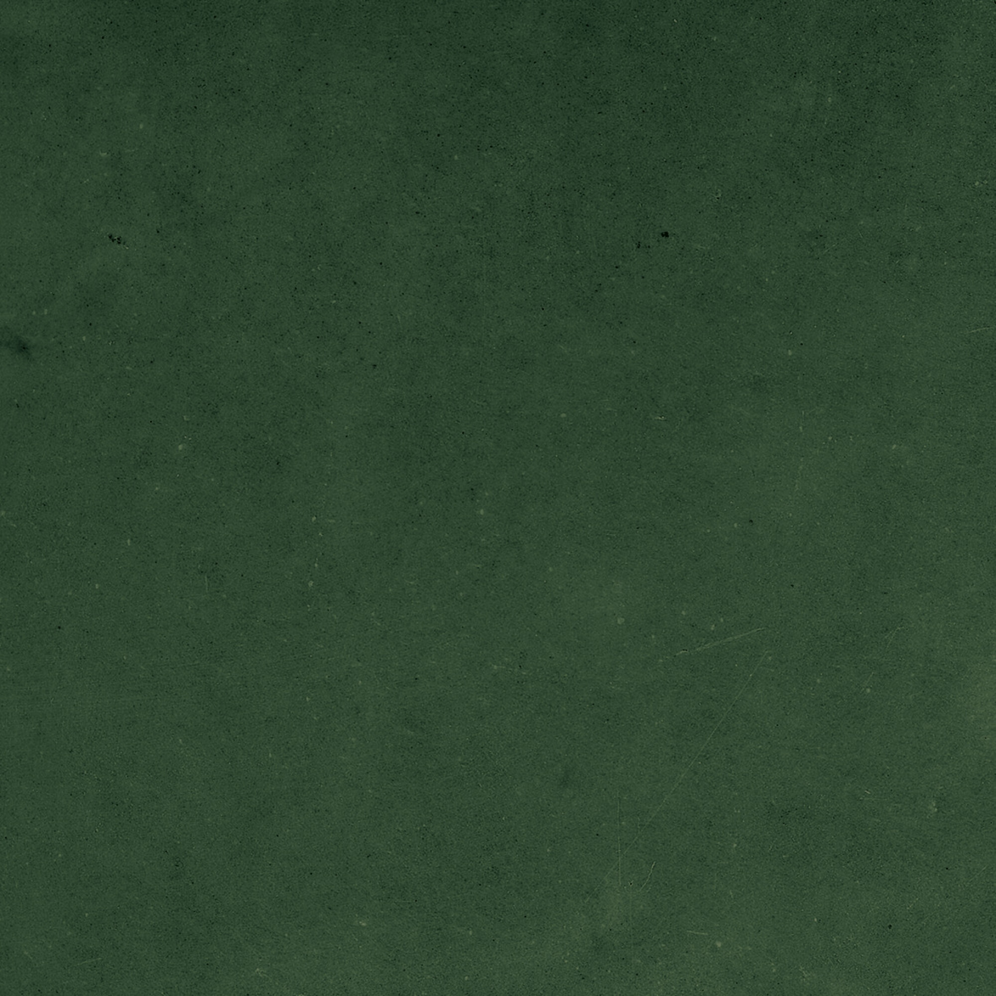 43289 Samira Green 10x10 Harmony фото 12