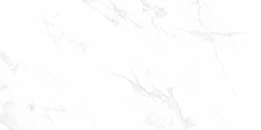 N12003 Venus Bianco Polished 60x120 Neodom