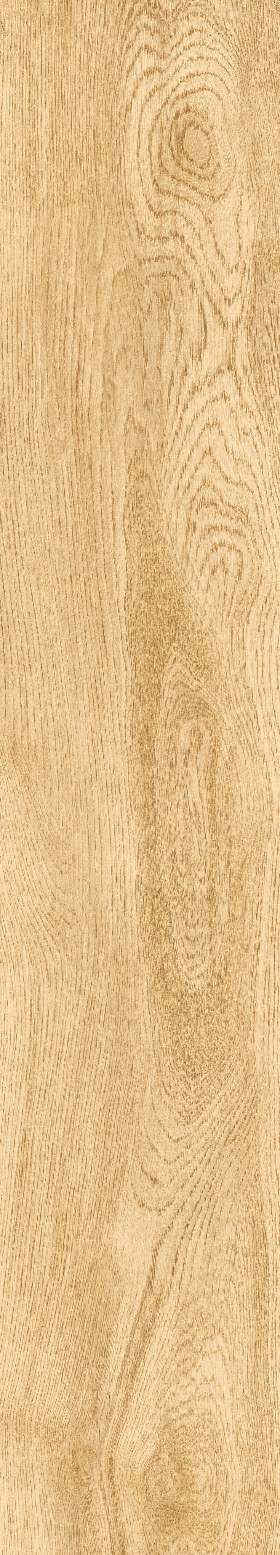 1064 Parma Honey Mate 120x20 Artcer