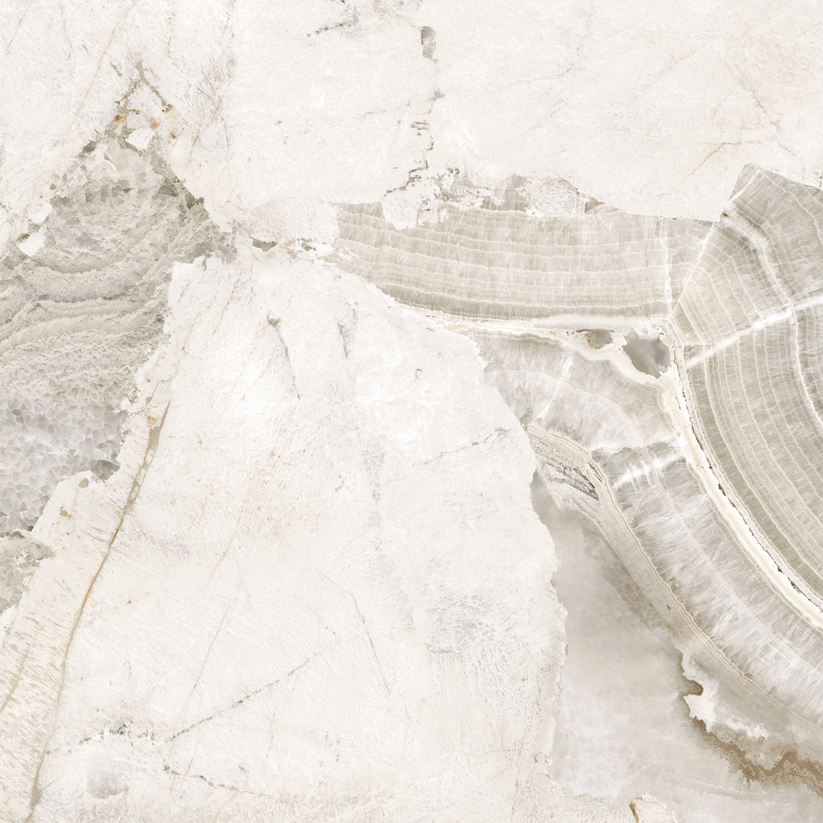 D60256М Seashell матовый 600x600x9.5 New Trend