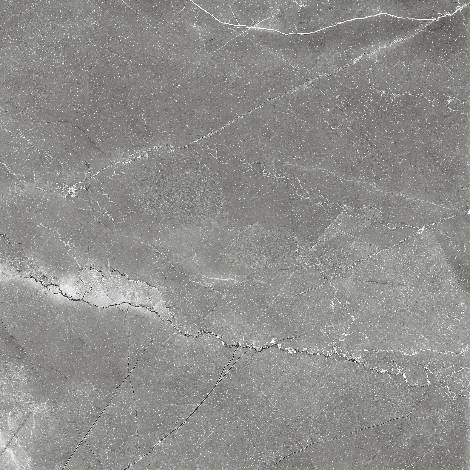 CR6011-A Pulpis Nero Carving 60x60 Arcadia Ceramica фото 2