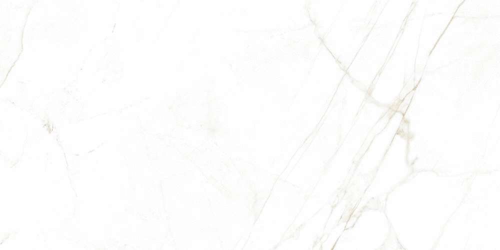 38712 Dual White NT 60x120 Peronda