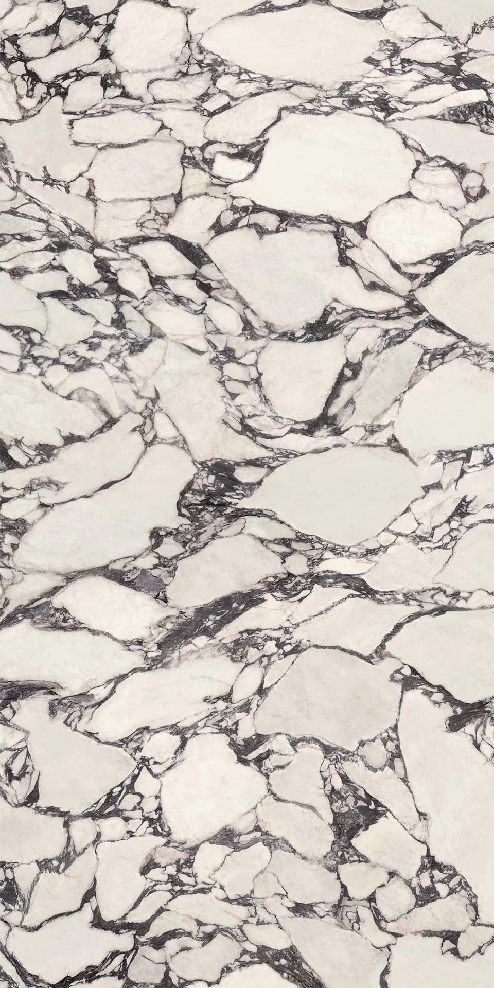 HCLZ Calacatta Viola Polished 6mm 160x320 Atlas Concorde фото 4