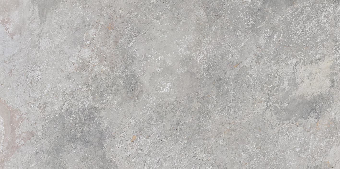 100202669 Image Silver 59.6x120 Porcelanosa