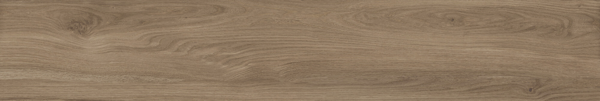 41729 Bloom Cognac SP/24x151x0,9/R 24x151 Peronda