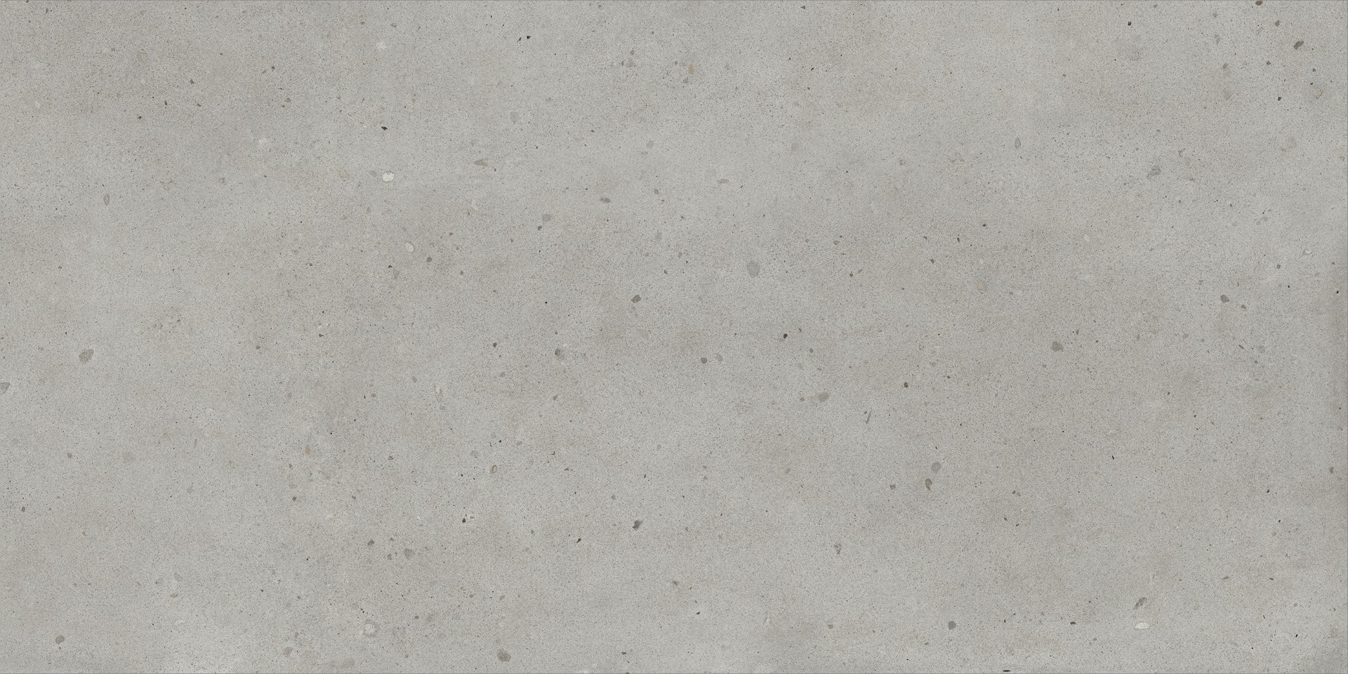 610010005699 Avantgarde Silver Ret 80x160 Italon
