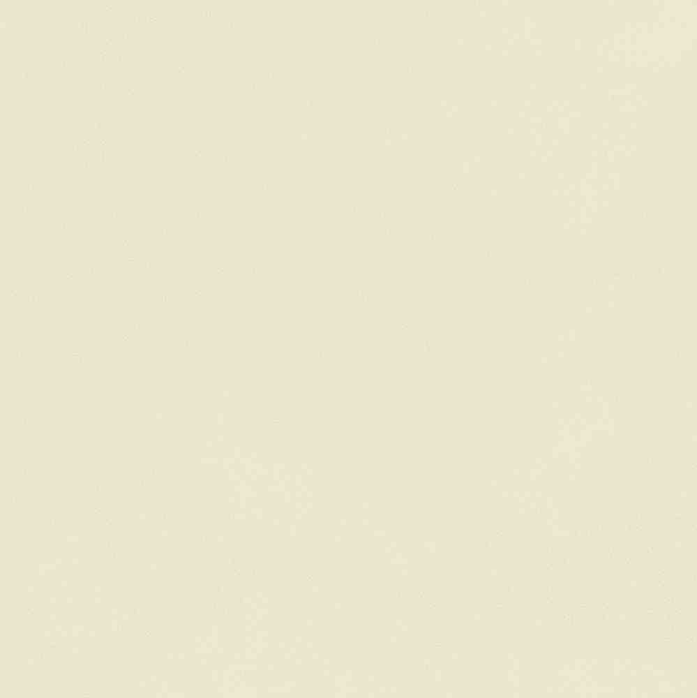 ENCLR6081MT2020 Corsica Beige Matt 200х200х8 Ennface фото 8