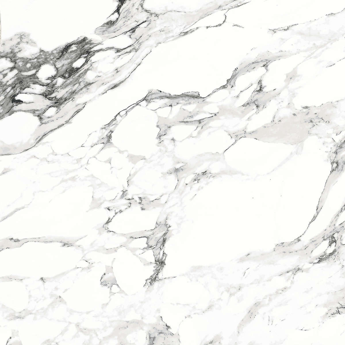Bianco carrara PGVT 60x60 Casati Ceramica