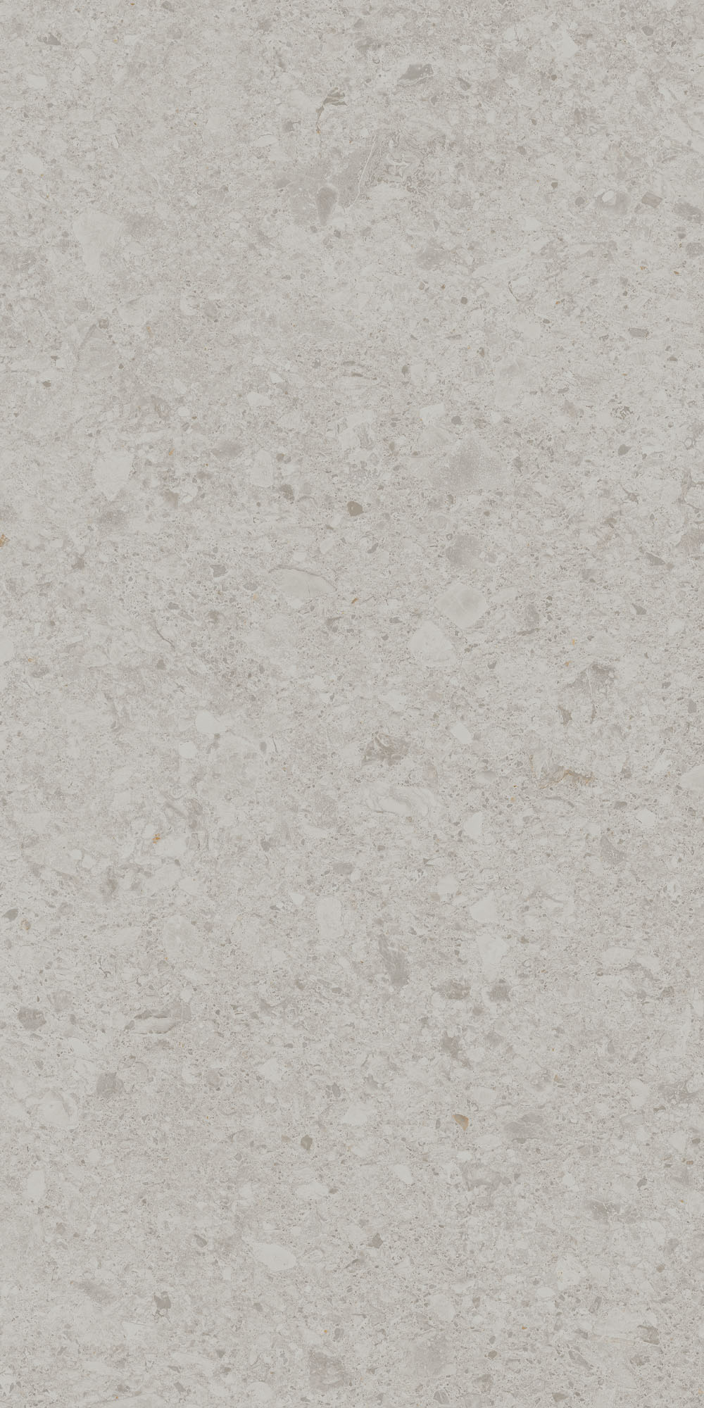 DD591200R Чеппо ди Гре серый светлый матовый обрезной 119,5x238,5x1,1 Kerama Marazzi