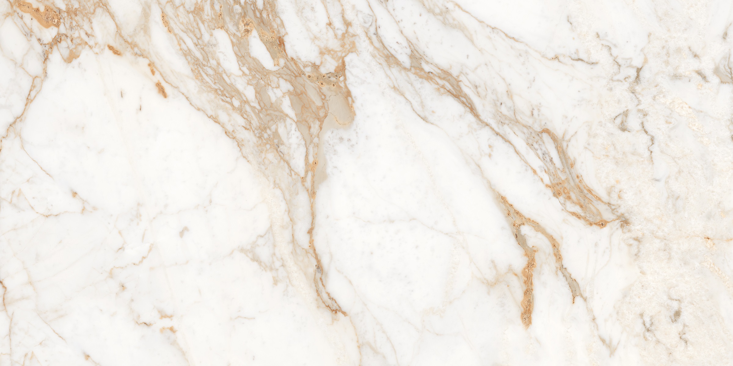 Calacatta Oro полированный 60x120 Laparet