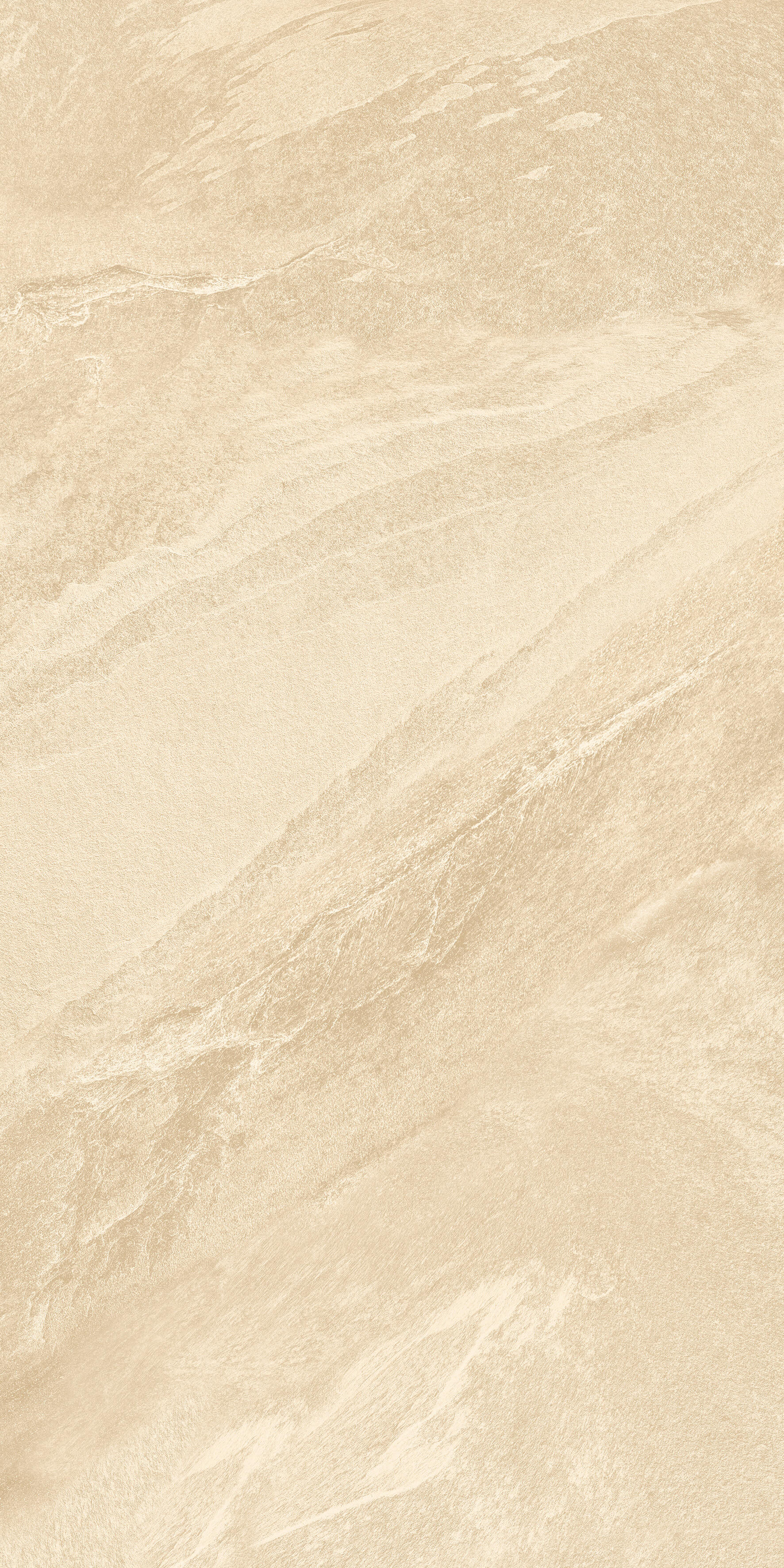 1209 Calcare Ivory Matt 120x60 Artcer