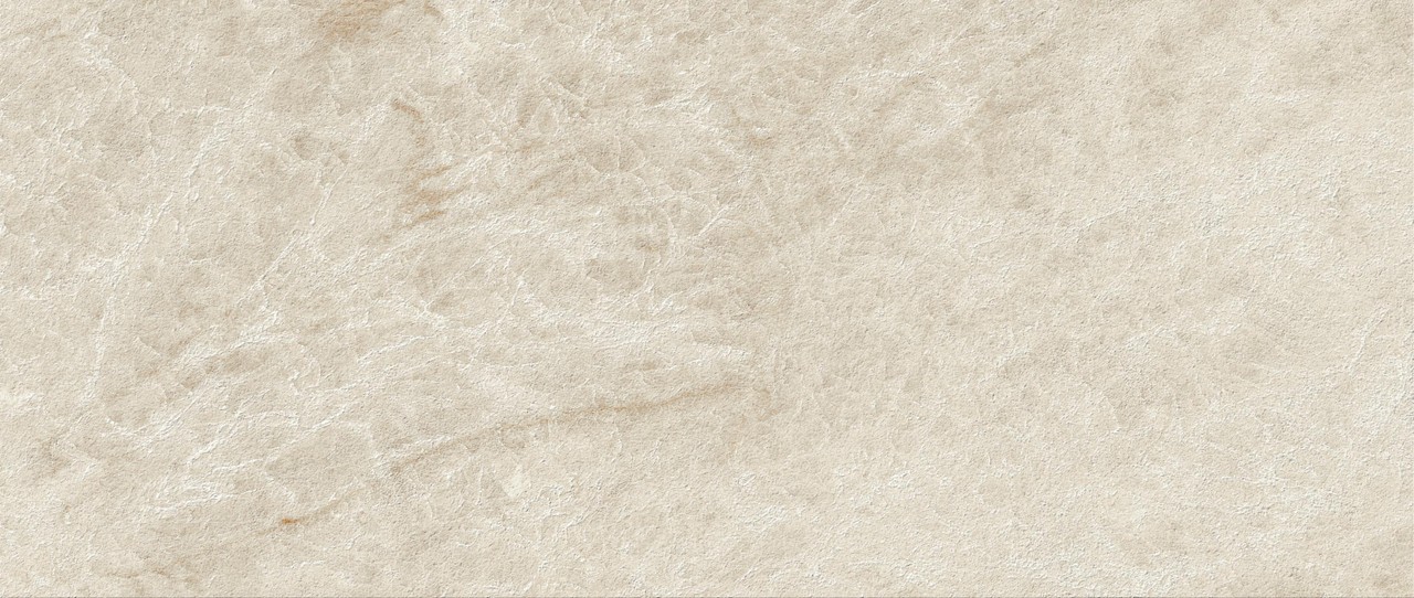 AYL1 Marvel Diva Taj Mahal Field Matte 50x120 Atlas Concorde