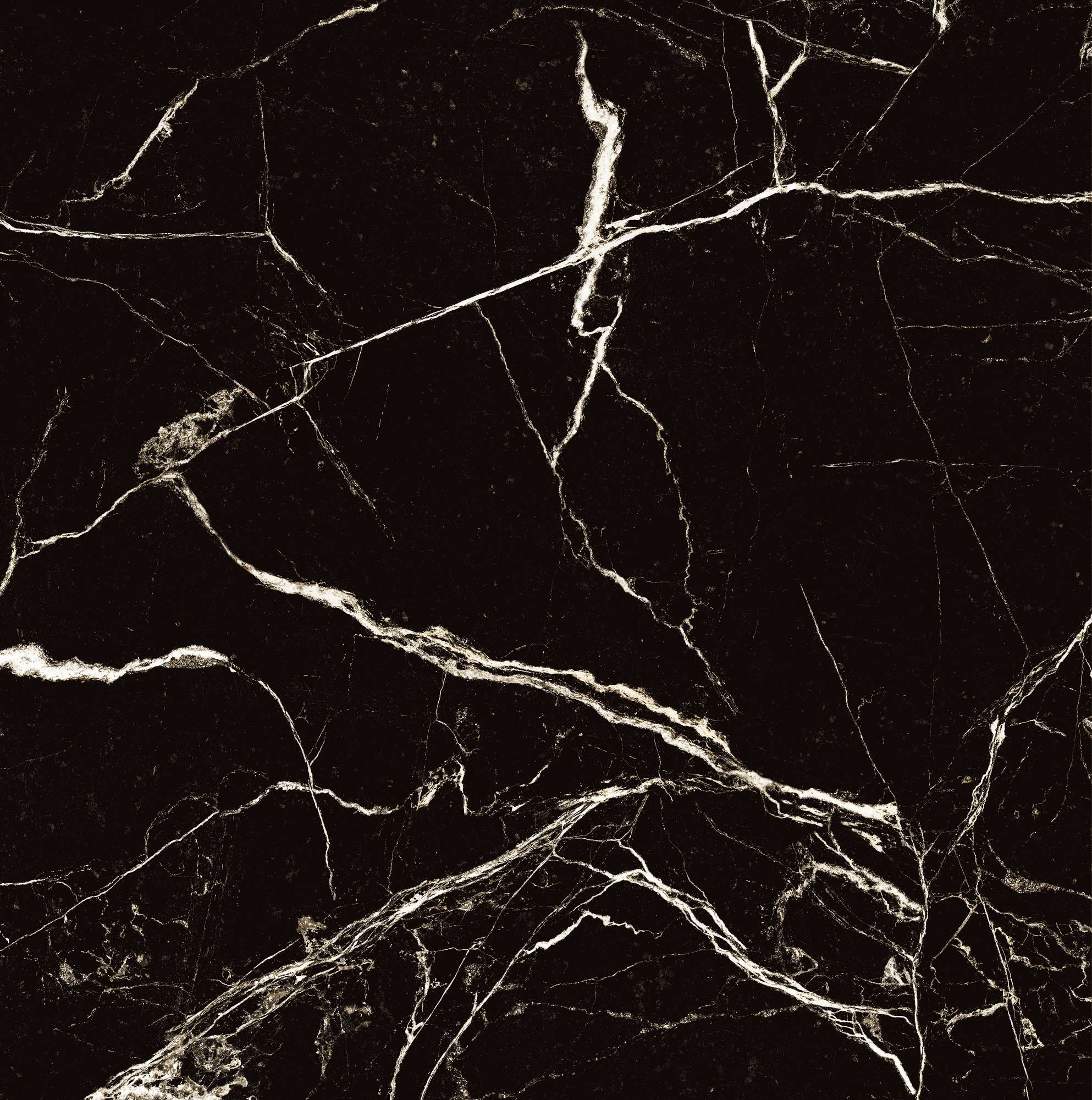 HG2008-A Black Spinder High Gloss 60x60 Arcadia Ceramica