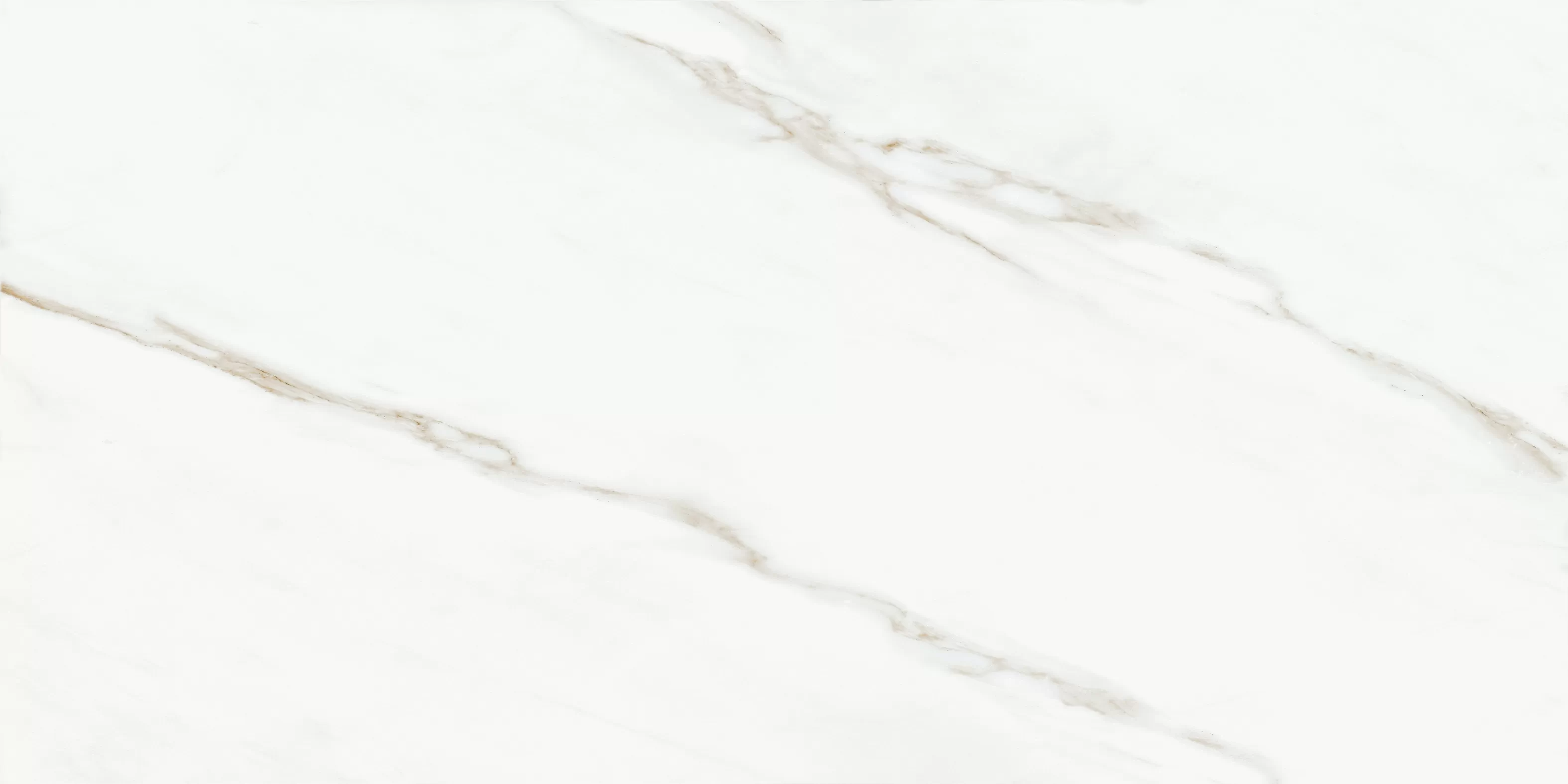Oriental White 60x120 Bluezone фото 8