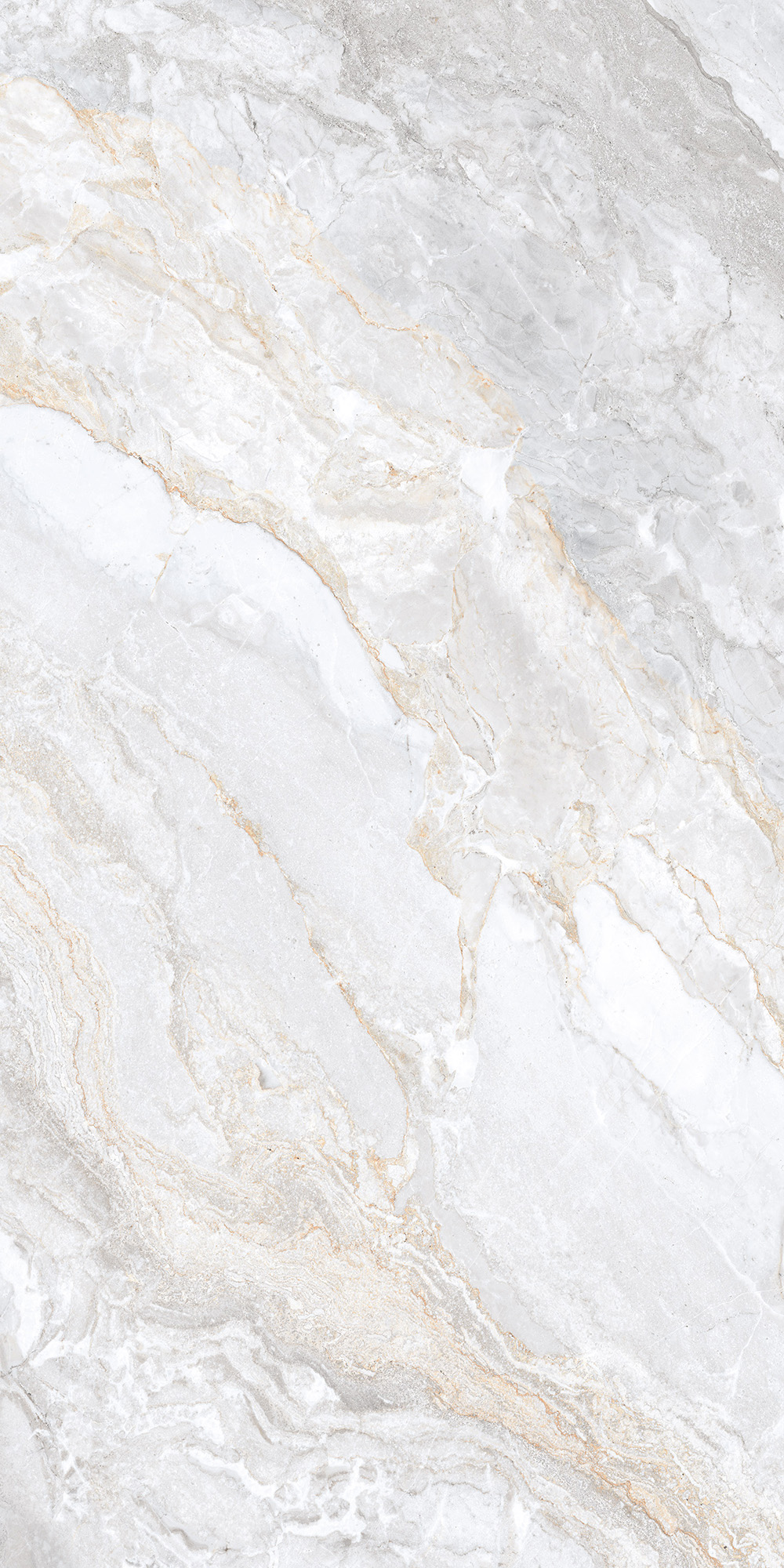 CL4006-A Trivola Bianco Carving Lappato 60x120 Arcadia Ceramica