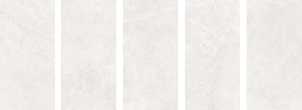 Taj Bianco Matt 60x120 Staro фото 2