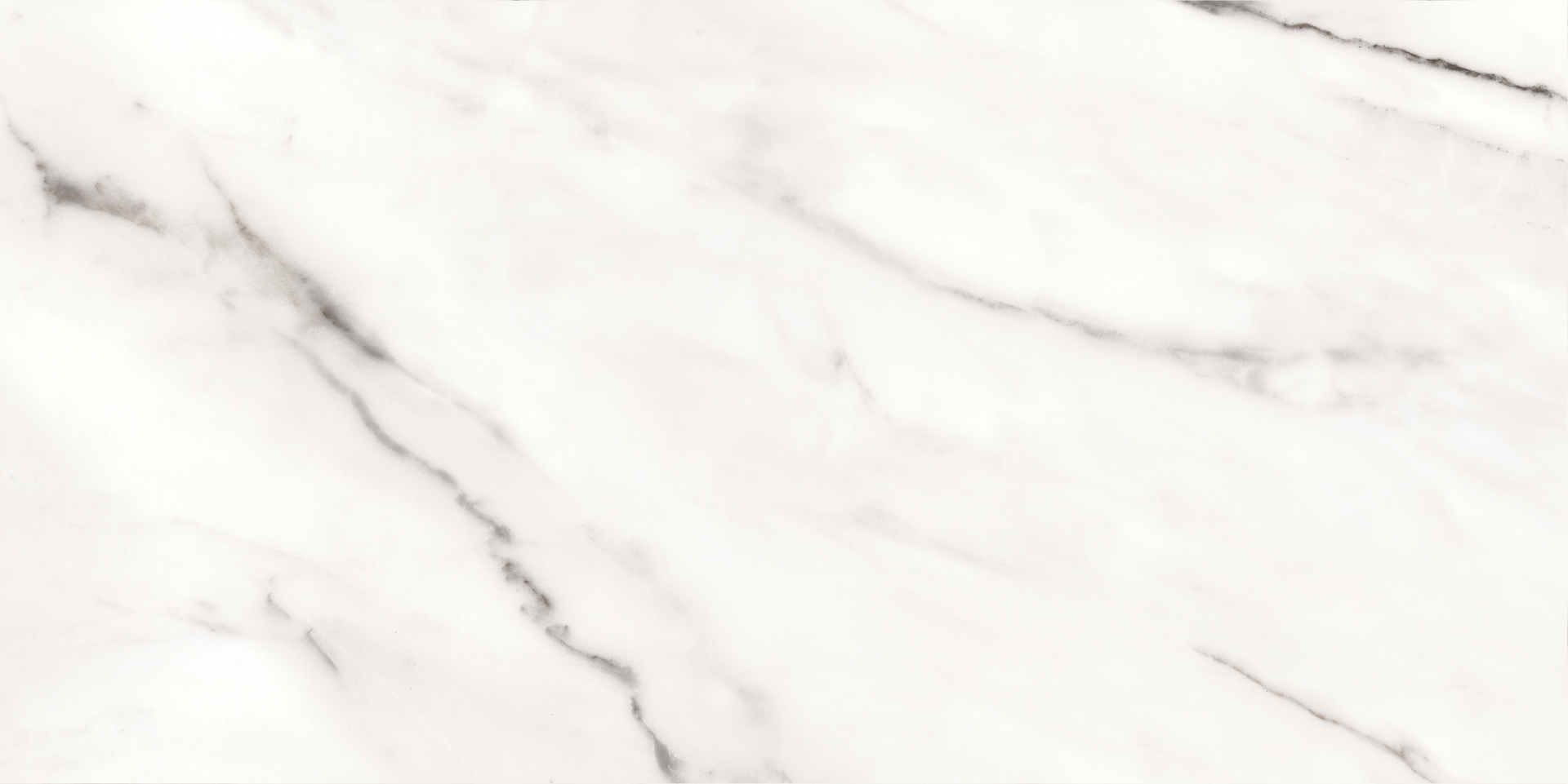 17637 Bliss белый ректификат 60x120 Meissen фото 8