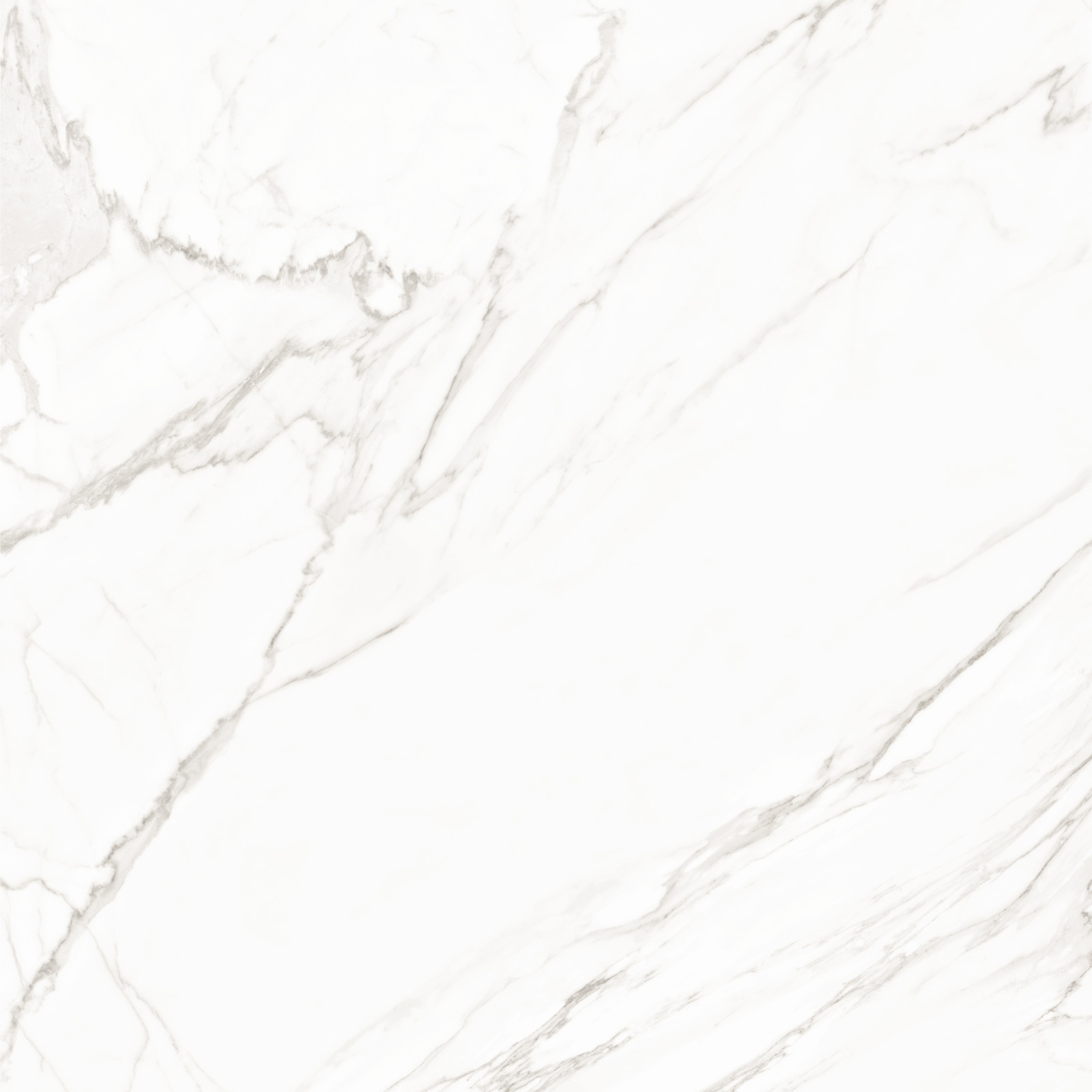 8080TRL00M Trend Line Calacatta матовый 800x800 LCM