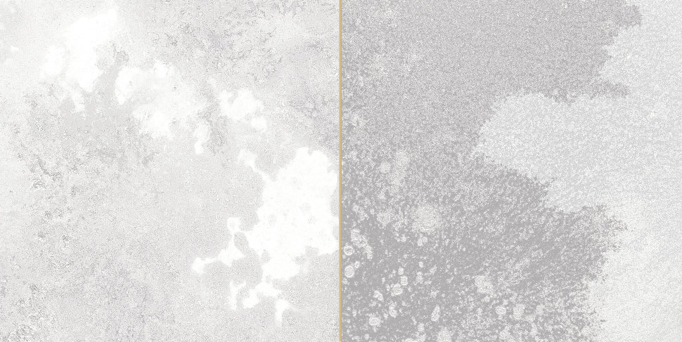 30962 FS Tradition Square Silver 20x40 Peronda фото 2