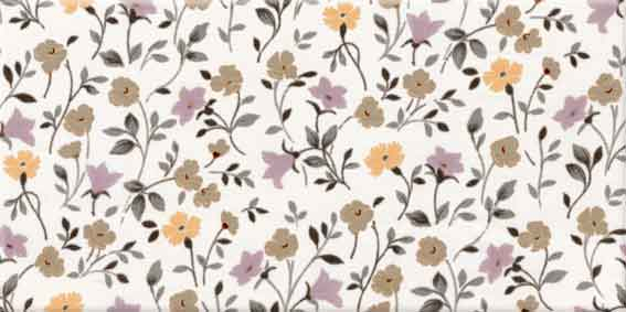 Soult Multicolor Mix 10x20 VIVES