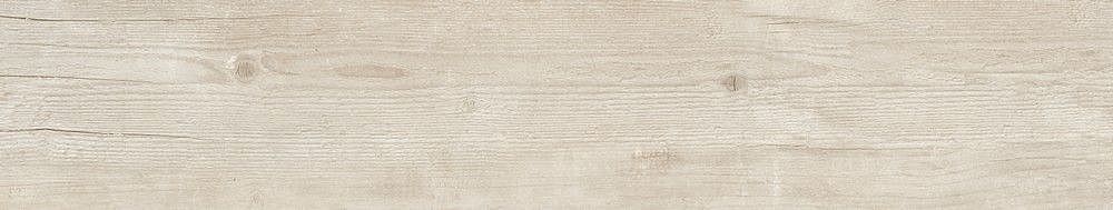 189003 Quercus Betulla 22x120 Dune