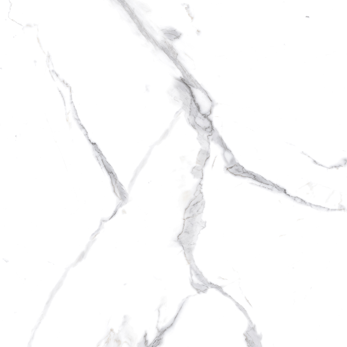 Calacatta Splendid Silver Белый Полированный 80х80 Ceradim