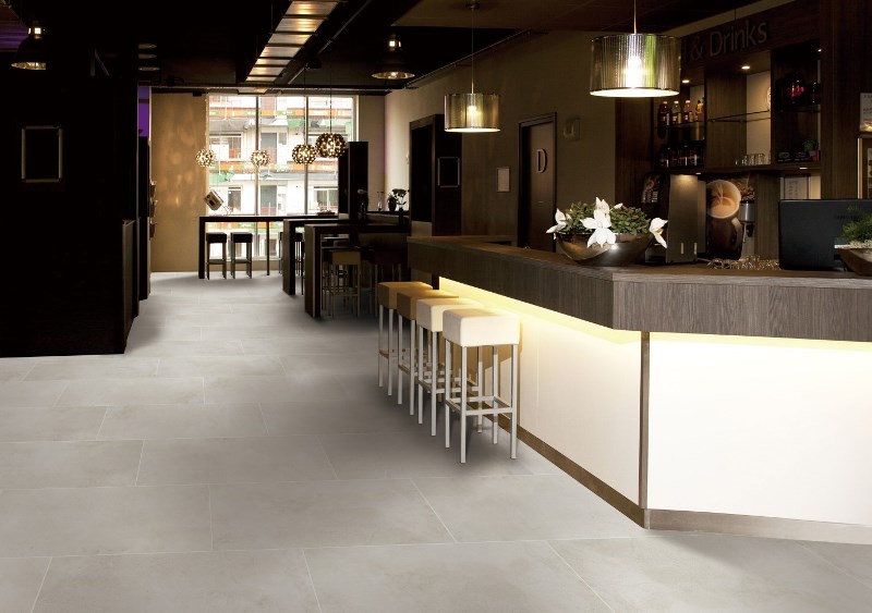 Maxstone Silver Mat 60x120 Realistik