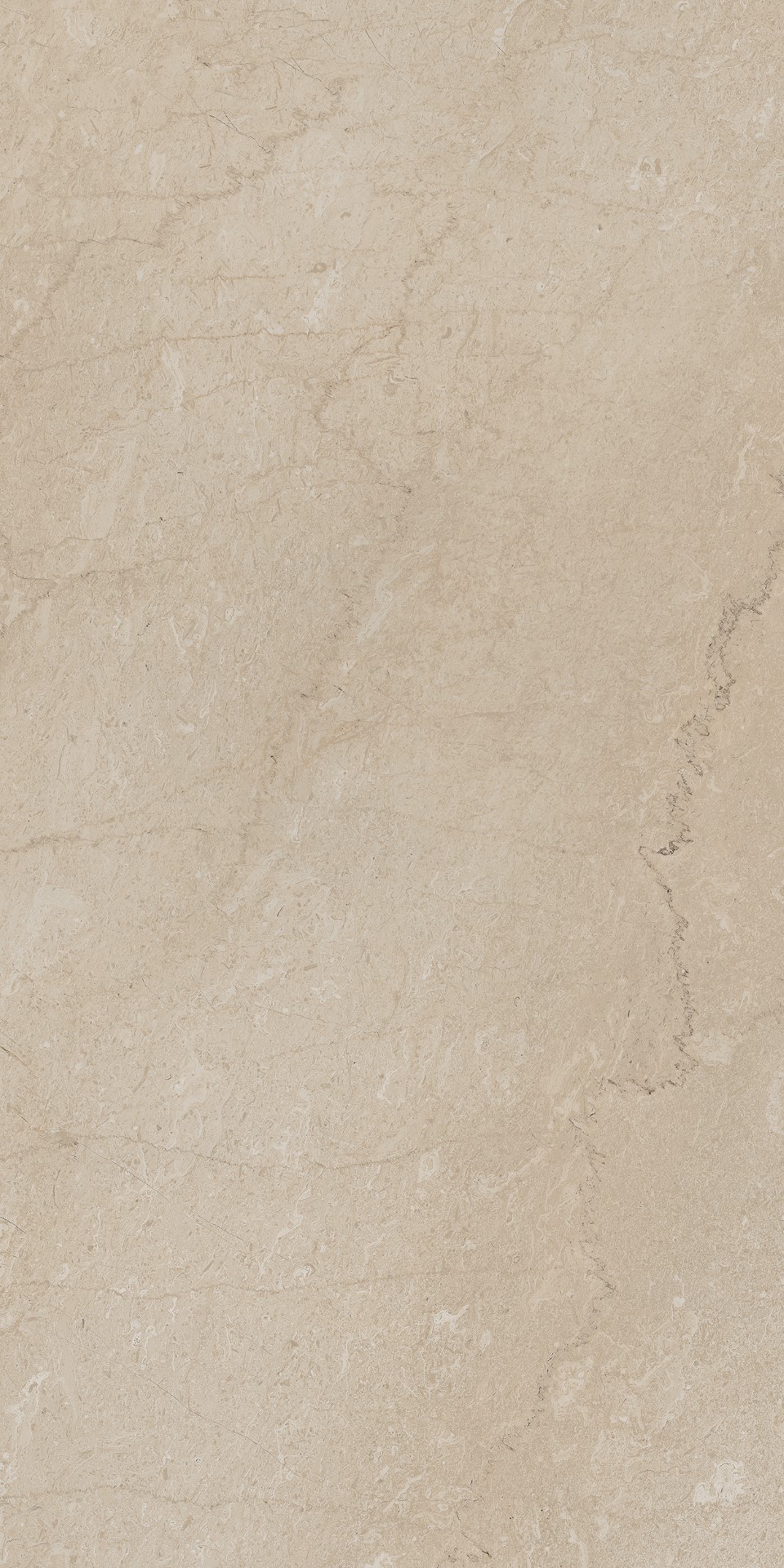 AEM01 Элемента Бежевый Неполированный Рект 60x120x9 Ametis by Estima фото 4