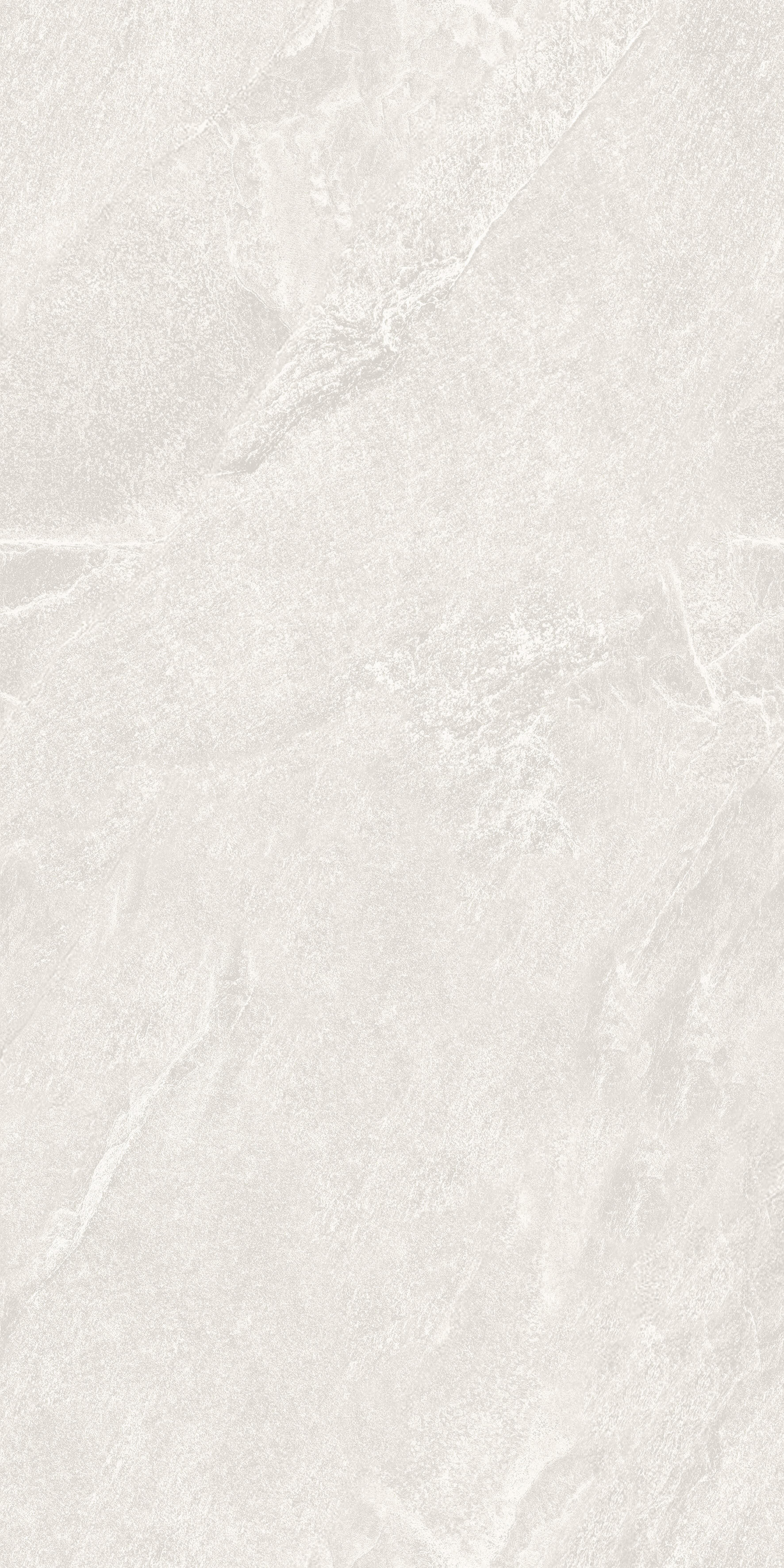1206 Calcare White Matt 120x60 Artcer фото 2