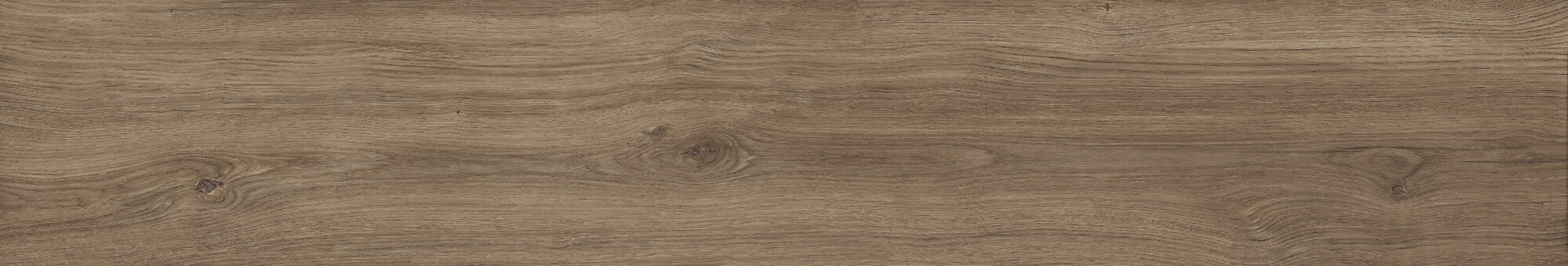 41729 Bloom Cognac SP/24x151x0,9/R 24x151 Peronda