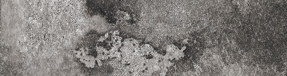 Айдахо 2 серый 245x65 Керамин фото 12