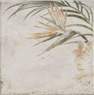 Tahiti White 20x20 Mainzu