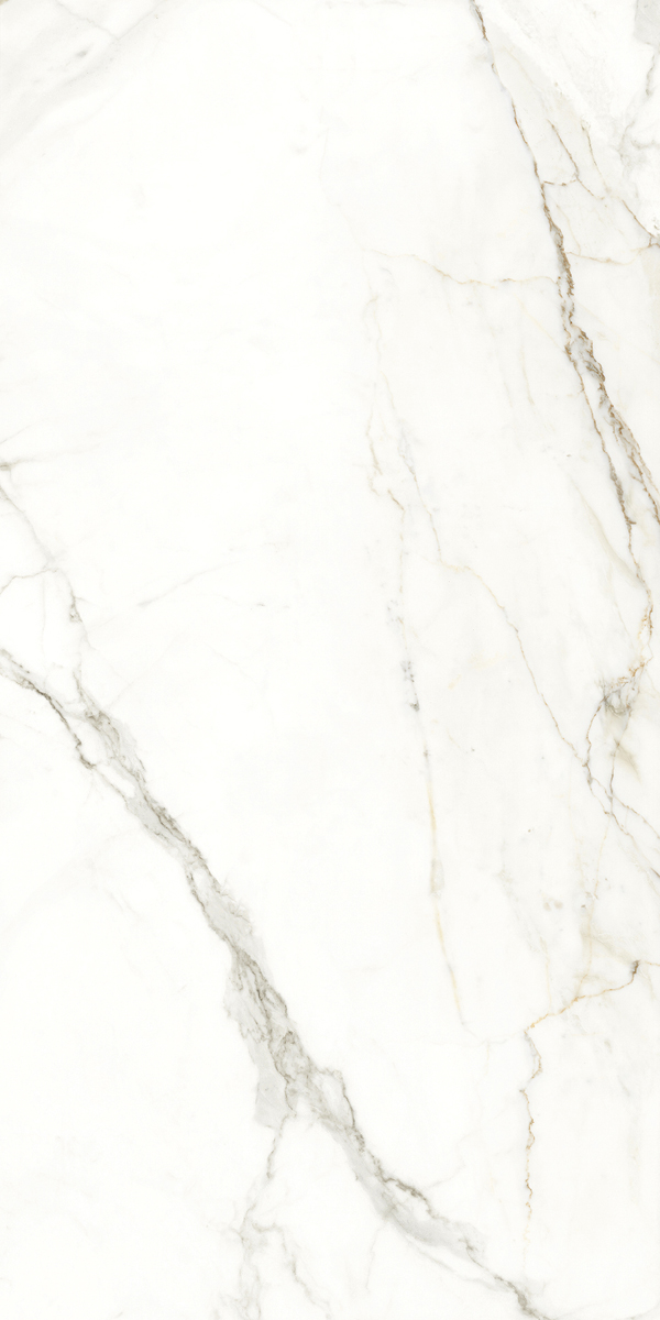 117782 Emotion Levigato Rettificato 60x120 Naxos