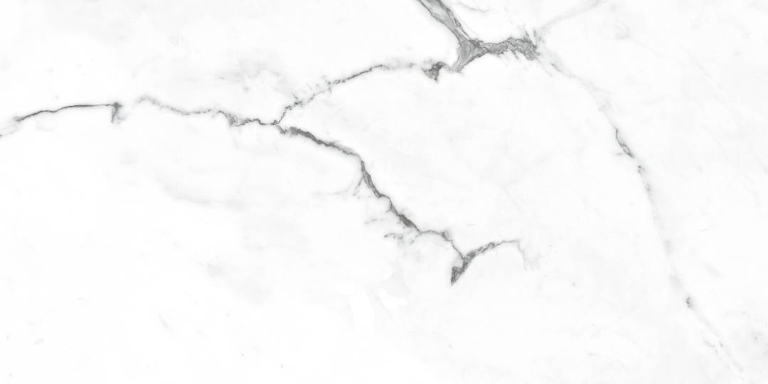 NR235 Dalim White Матовый 60x120 PrimaVera