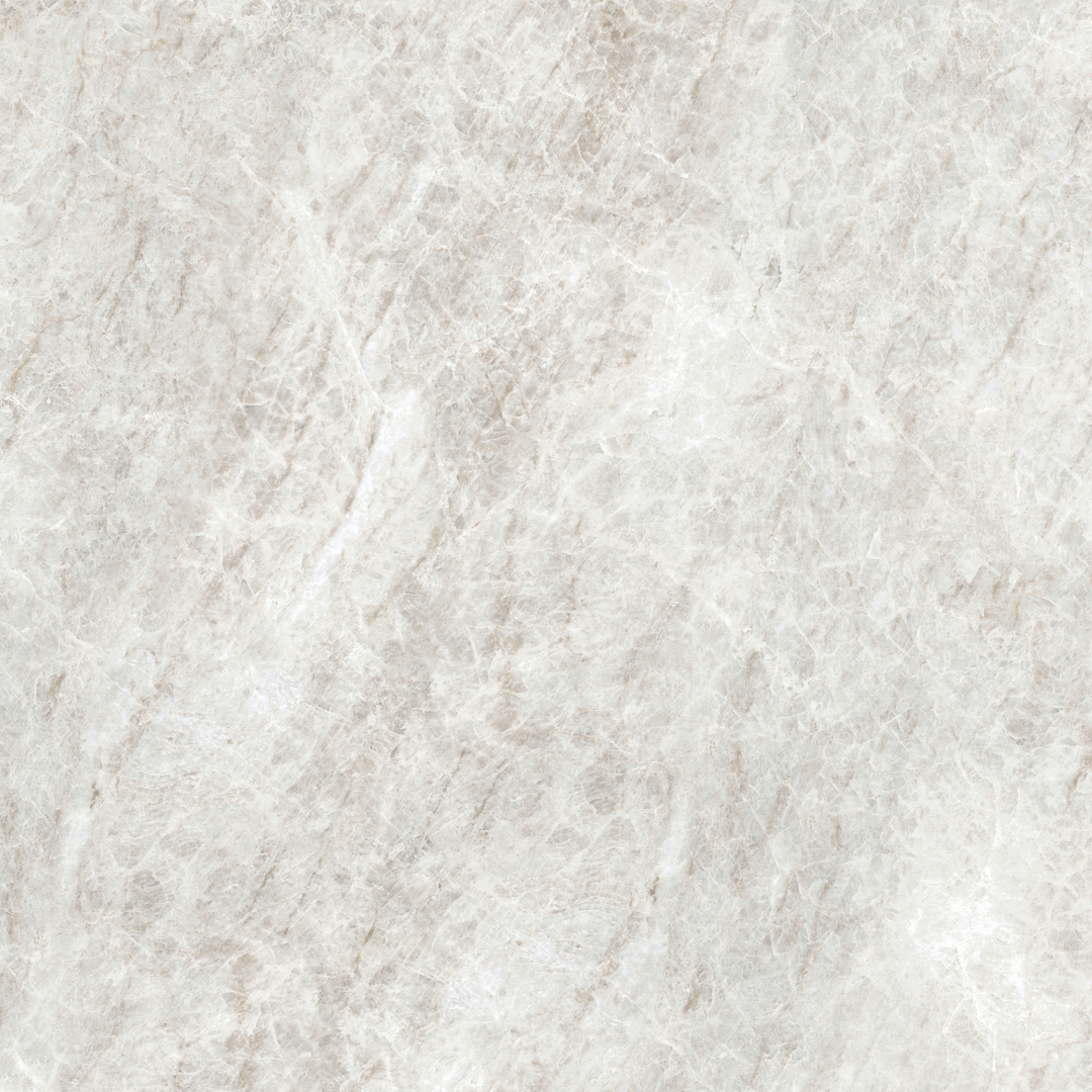 784512 Iconic Life Rice Yamuna Matte 120x120 Cerim фото 4