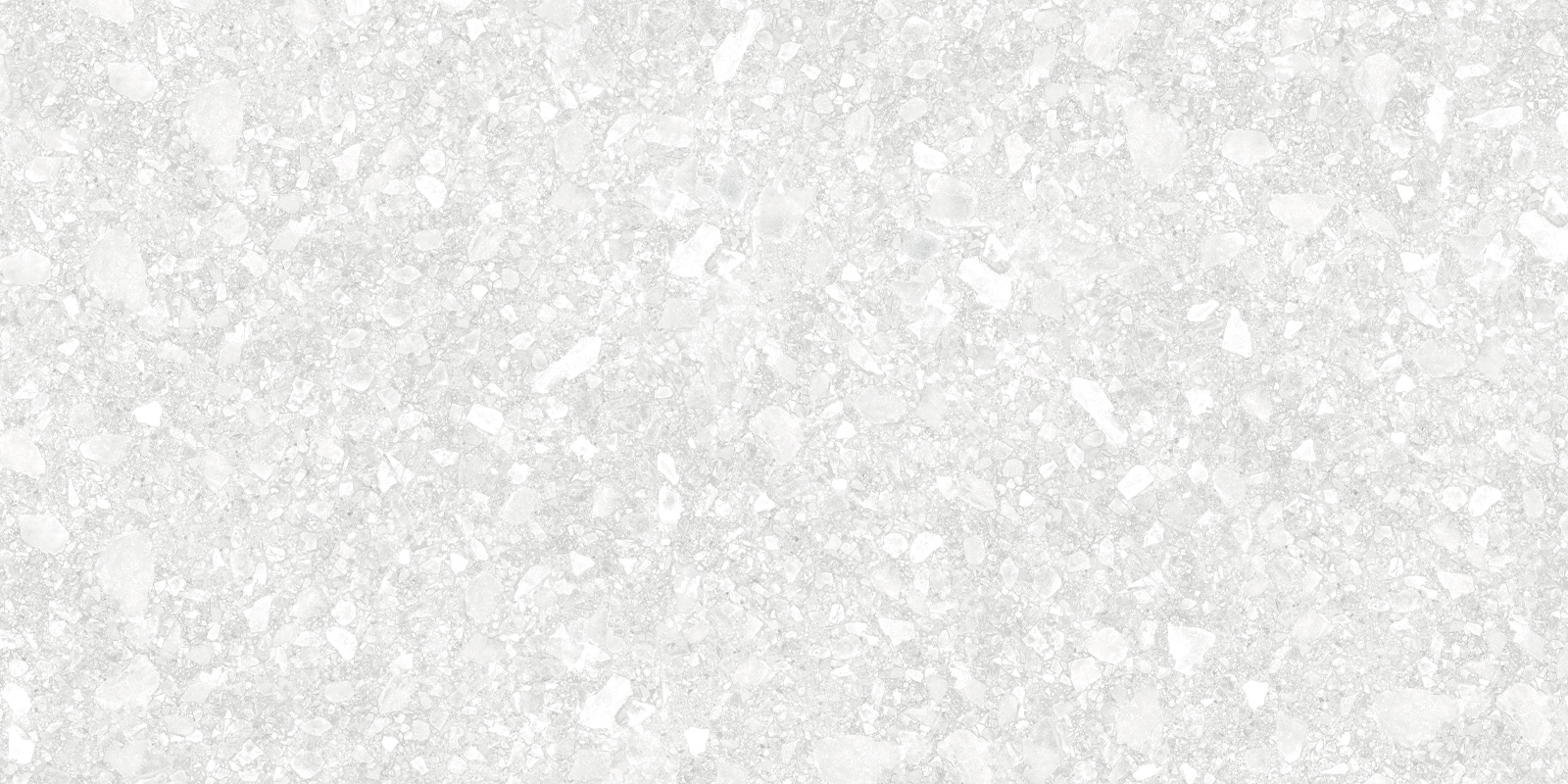 D12041M Turin Light 1200x600x9.5 Delacora