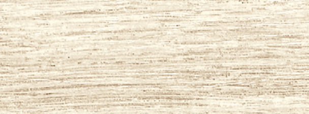 FOREST ACERO 300x100 Kerlite