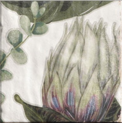 DECOR PROTEA 20x20 Mainzu