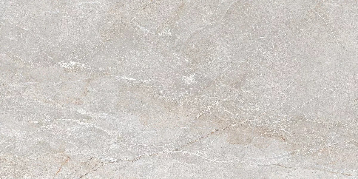 Stonico Oyster Grey Glossy 60x120 Art Ceramic