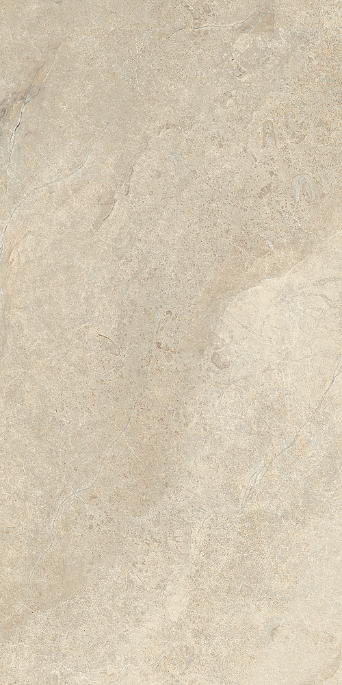LGXAL25 Anthology 02 Desert Nat. RT 9.5mm 60x120 Lea Ceramiche