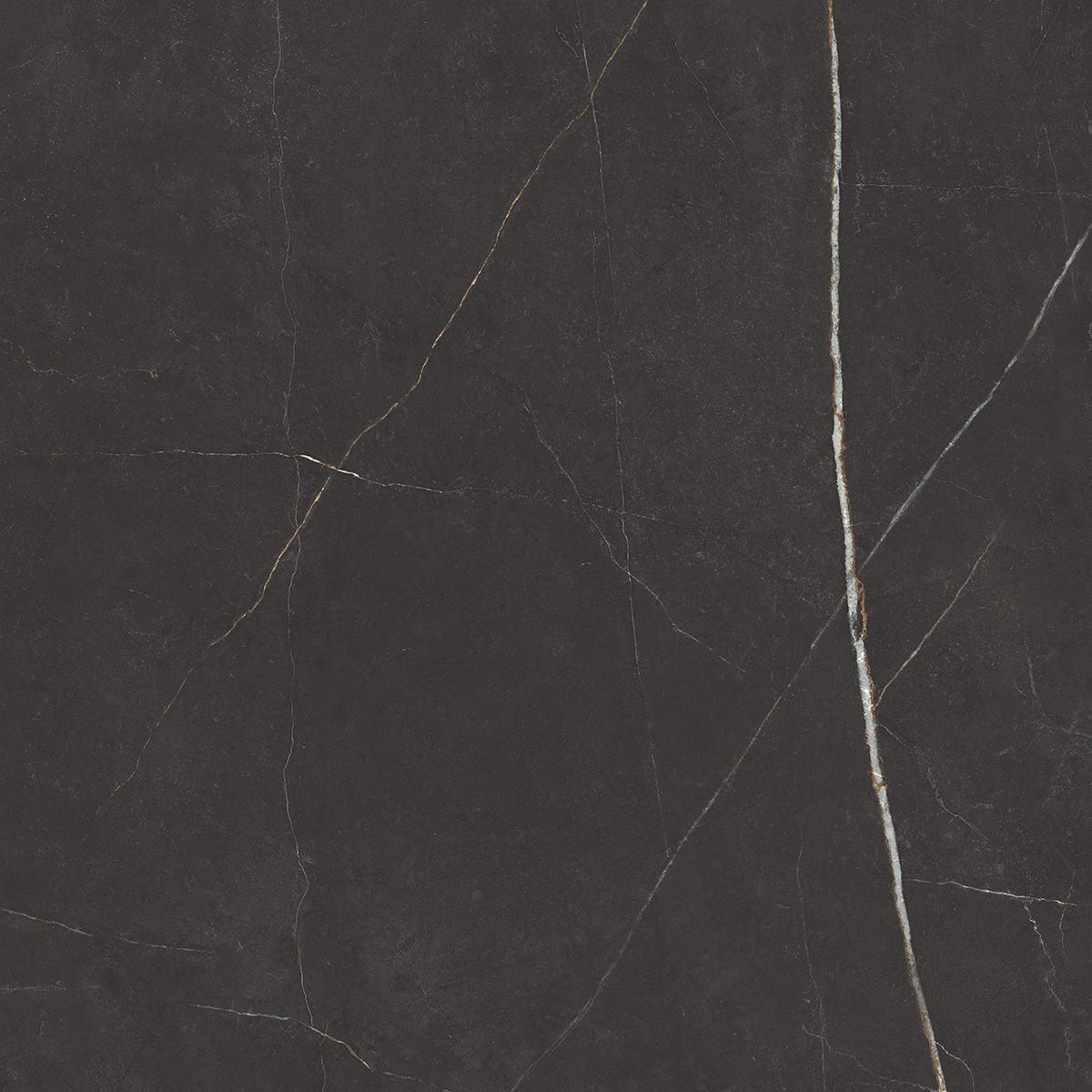 NL04 Nolana Black Неполированный Рект. 60x60x9  Estima фото 6