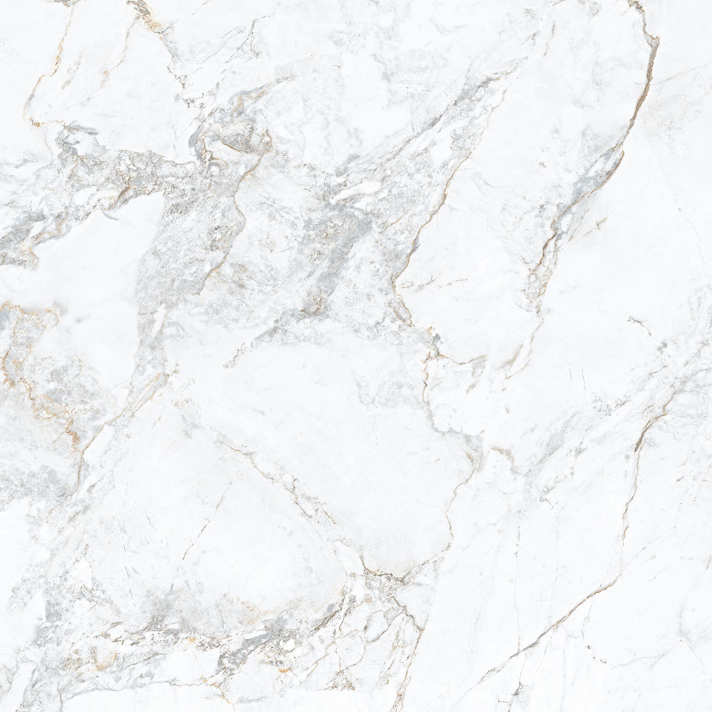 1865 White Rect. 100x100 Porcelanite Dos