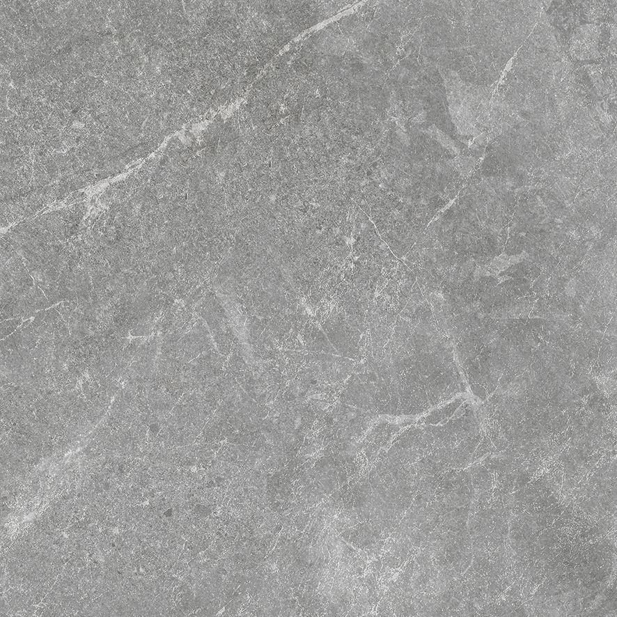 Rocky Grey PRO серый матовый R10GR 60х60 Laparet